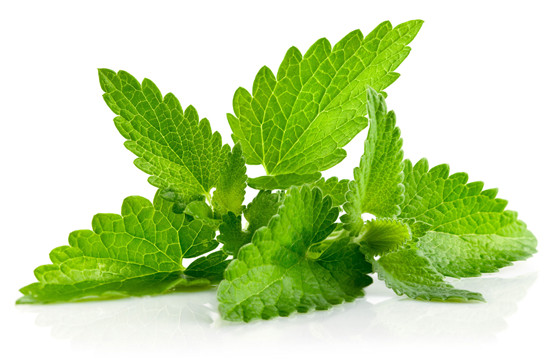 pure-menthol-e-liquid