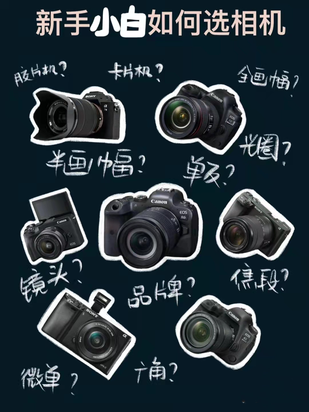 【海淘攻略】日本海淘：新手小白如何选相机？