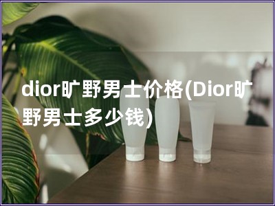 dior旷野男士价格(Dior旷野男士多少钱)